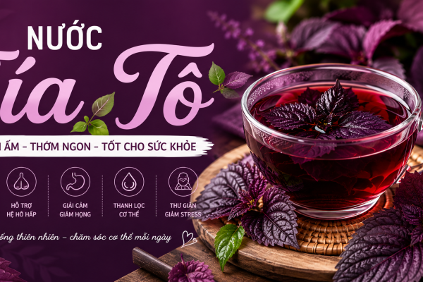 NƯỚC TÍA TÔ – LỢI ÍCH TỪ SẮC TÍA THIÊN NHIÊN