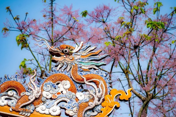 VƯƠNG GIẢ CHI HOA NỞ HỒNG CẢ ĐẠI NỘI HUẾ 2026