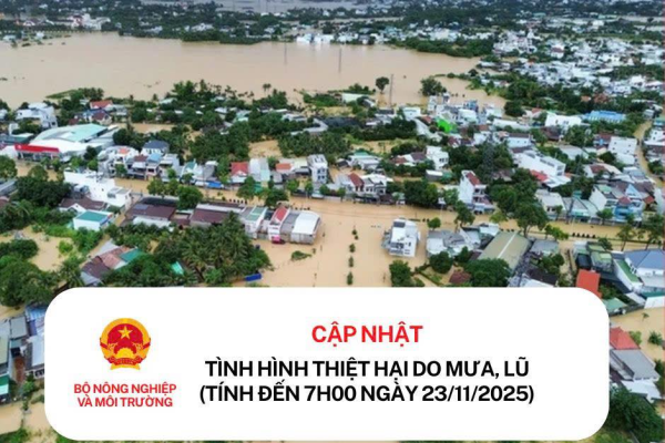 CẬP NHẬT TÌNH HÌNH THIỆT HẠI DO MƯA, LŨ TẠI CÁC TỈNH MIỀN TRUNG