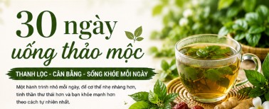 30 ngày uống thảo mộc